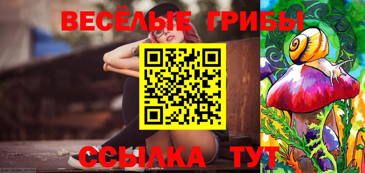 Псилоцибиновые грибы Psilocybine cubensis Карачаевск