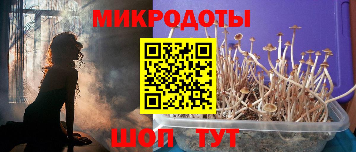 Галлюциногенные грибы ЛСД  Вход с VPN  Карачаевск 